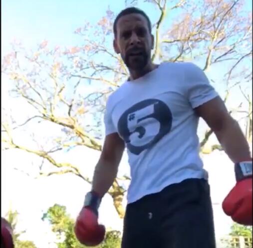 费迪南德将往职业拳手转型